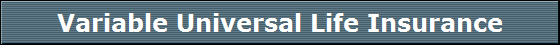 Variable Universal Life Insurance