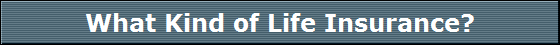 What Kind of Life Insurance?